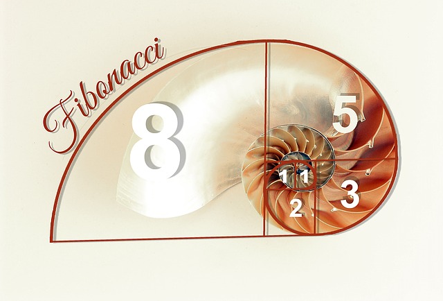 Druvides - Fibonacci und die Resonanz im Menschlichen Körper
