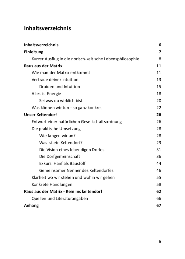 Raus aus der Matrix - Rein ins Keltendorf - eBook Inhaltsangabe