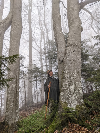 Rituale - oder das Göttliche durch Handeln ehren - ladruido im Wald