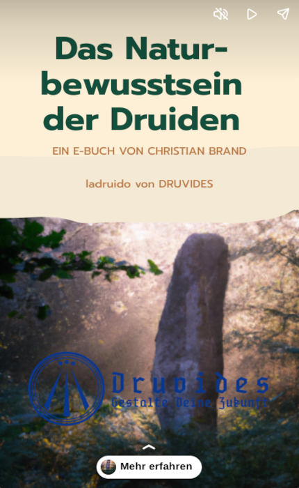 Das-Naturbewusstsein-der-Druiden-_Webstory-Cover_430x700